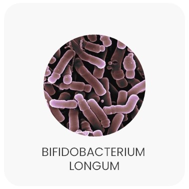 Bifidobacterium longum