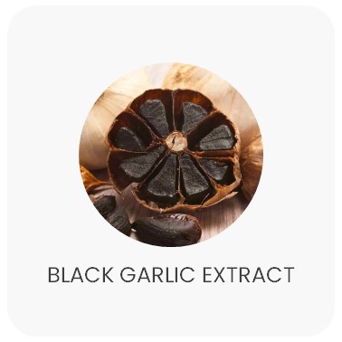 Black Garlic Extract