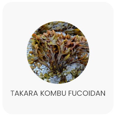 Takara Kombu Fucoidan