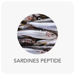 ing-sardine.png